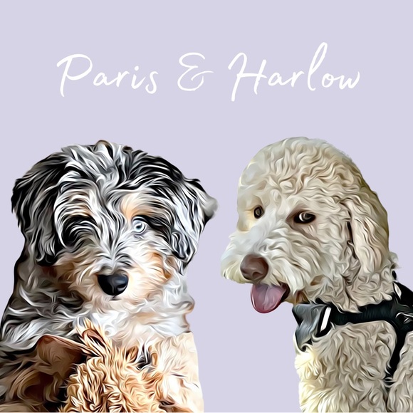 Meet your Posher, Tim - Picture 1 of 1